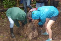Building the Campfire ring - with a BIG rock