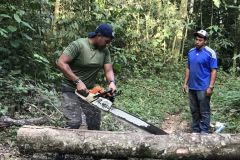 Cutting logs for benches